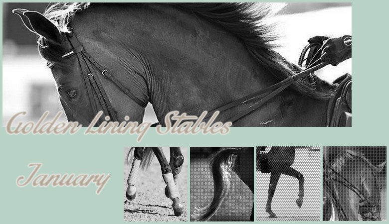 Golden Lining Stables